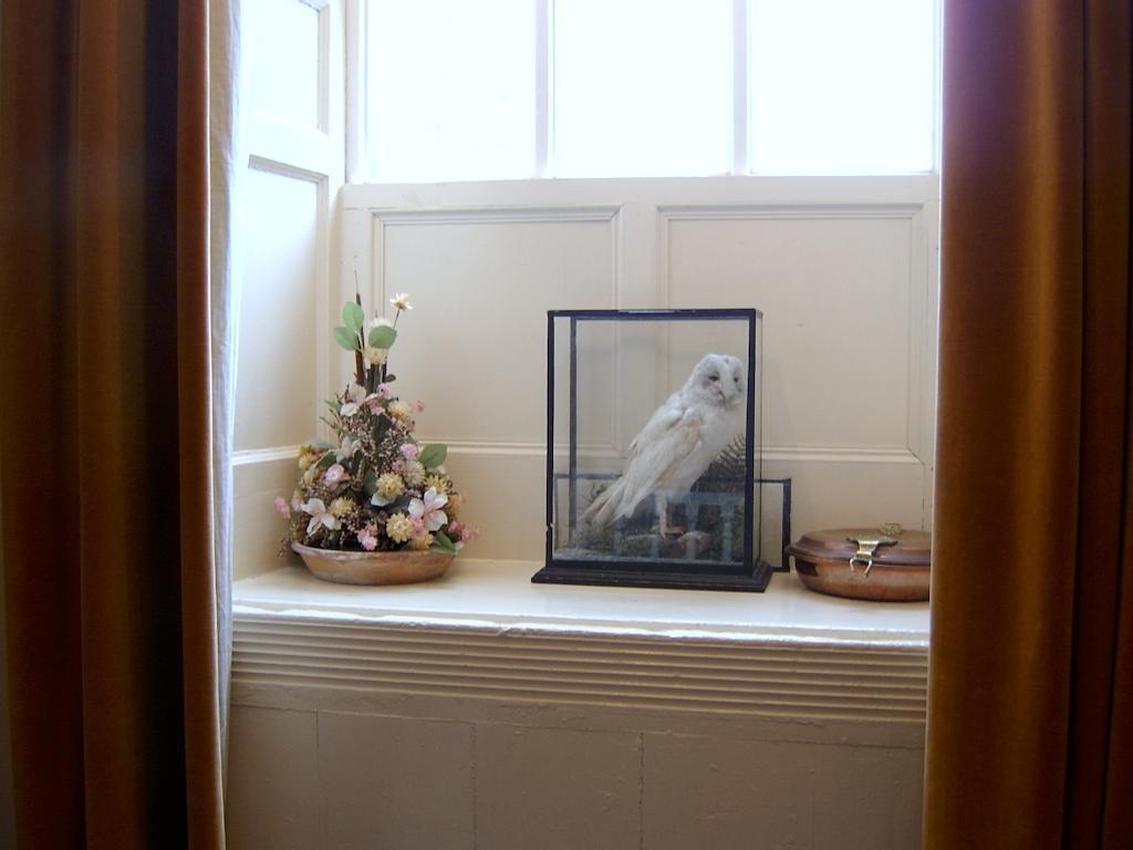 Cappoquin Richmond House Bed & Breakfast エクステリア 写真